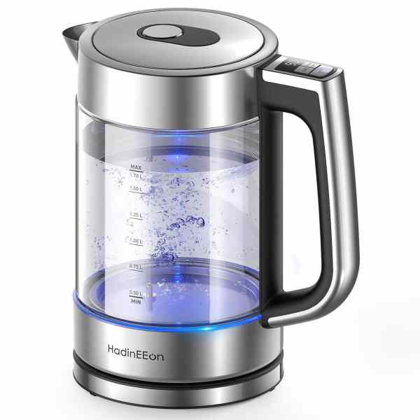variable temperature electric kettle 1