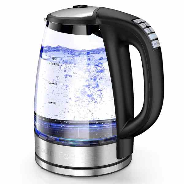 variable temperature electric kettle 2