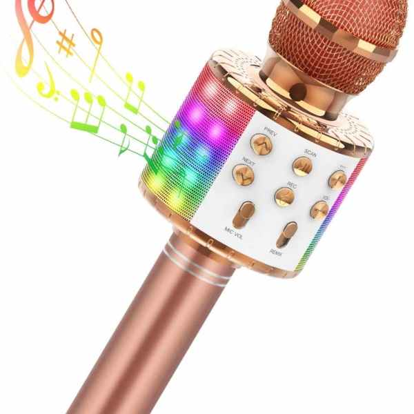 Karaoke Kabelloses Mikrofon